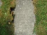 image of grave number 354211